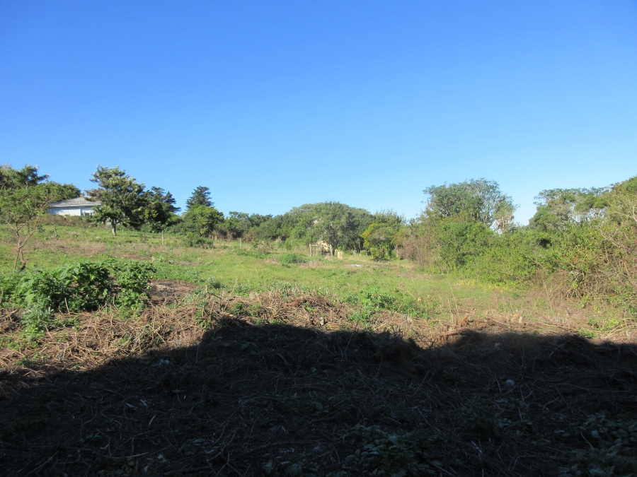 0 Bedroom Property for Sale in Bathurst Eastern Cape